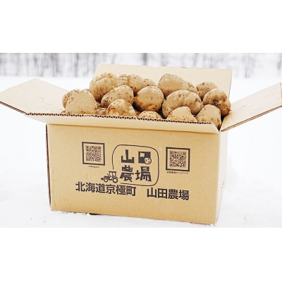 【2025年11月上旬発送予定】【訳あり】北海道産じゃがいも(男爵) 約10kg 山田農場