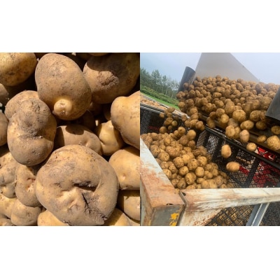 【訳あり】北海道産じゃがいも(男爵) 約10kg 山田農場