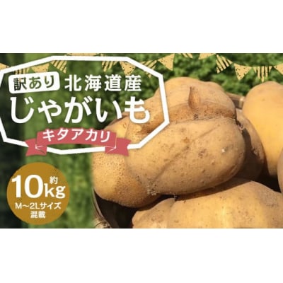 【2025年11月上旬発送予定】【訳あり】北海道産じゃがいも (キタアカリ) 約10kg 山田農場
