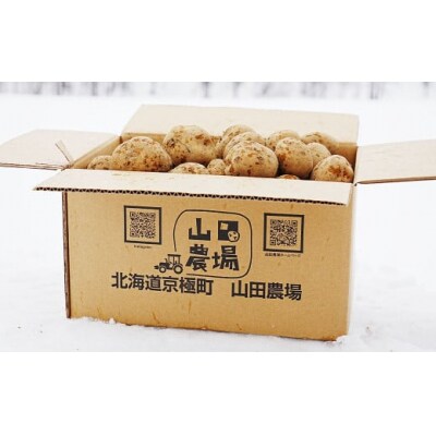【訳あり】北海道産じゃがいも (キタアカリ) 約10kg 山田農場