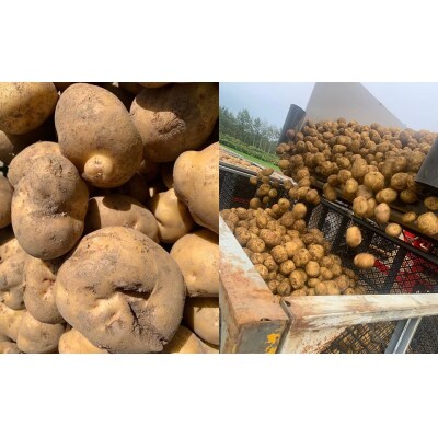 【訳あり】北海道産じゃがいも (キタアカリ) 約10kg 山田農場