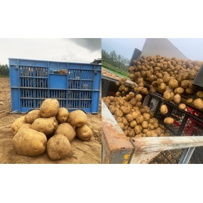 北海道産じゃがいも(キタアカリ) 約5kg・北海道産玉ねぎ 約5kgセット 山田農場