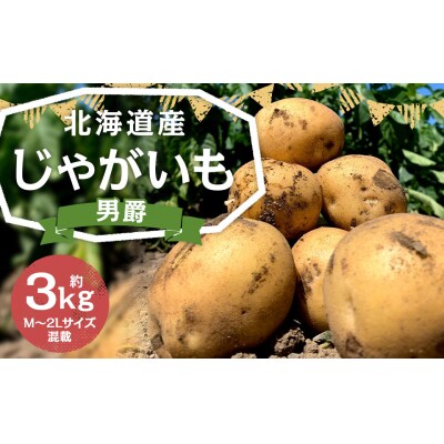 北海道産じゃがいも(男爵) 約3kg 山田農場
