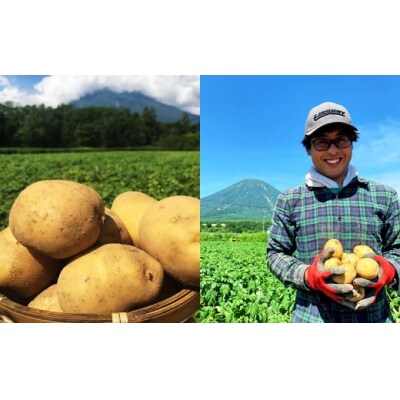 北海道産じゃがいも(男爵) 約3kg 山田農場