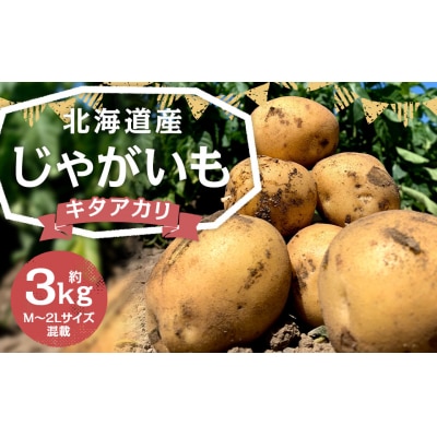 【2025年11月上旬発送予定】北海道産じゃがいも(キタアカリ) 約3kg 山田農場