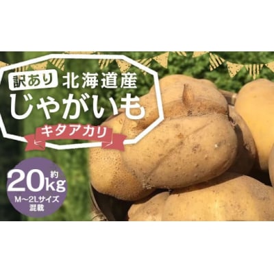 【2025年11月上旬発送予定】【訳あり】北海道産じゃがいも(キタアカリ) 約20kg 山田農場