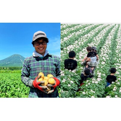 【訳あり】北海道産じゃがいも(キタアカリ) 約20kg 山田農場