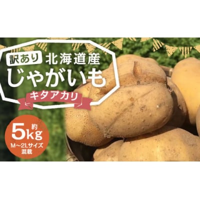【2025年11月上旬発送予定】【訳あり】北海道産じゃがいも (キタアカリ) 約5kg 山田農場