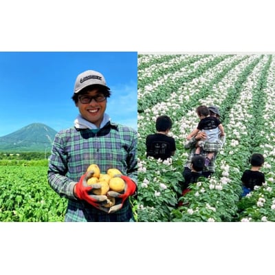 【訳あり】北海道産じゃがいも (キタアカリ) 約5kg 山田農場