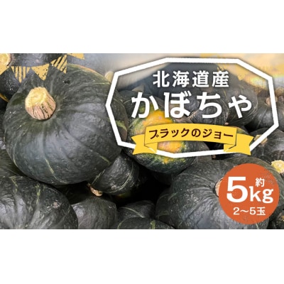 【2025年11月上旬発送予定】北海道産かぼちゃ(ブラックのジョー) 約5kg