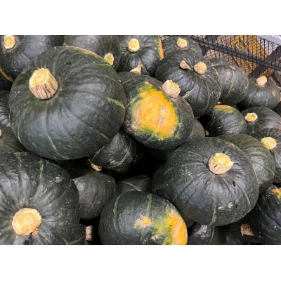 北海道産かぼちゃ(ブラックのジョー) 約5kg