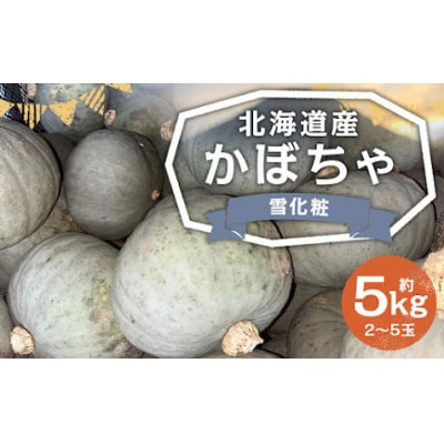 【2025年11月上旬発送予定】北海道産かぼちゃ(雪化粧) 約5kg