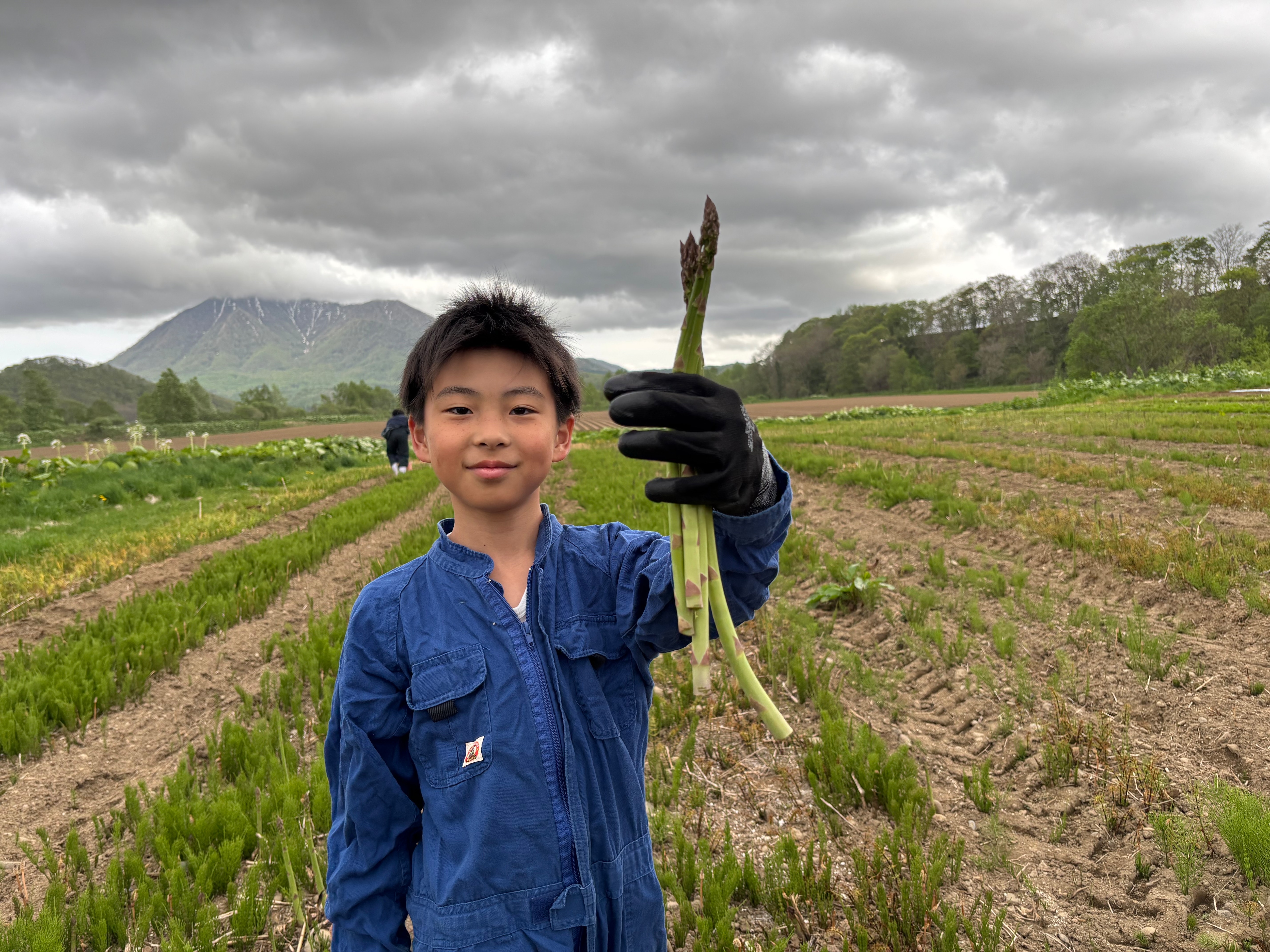 北海道産露地栽培アスパラガスM~2Lサイズ約1kg山田農場