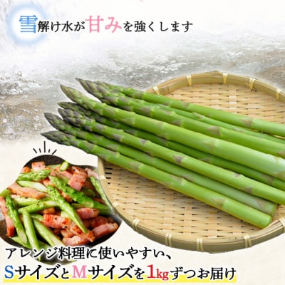 【先行受付】グリーンアスパラSMサイズ2kg(S・Mサイズ各1kg)【1201603】