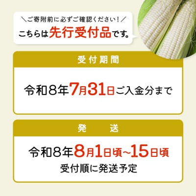 【先行受付】 スイートコーン(ホワイト)5kg【令和8年8月1日頃～15日頃発送】【1201902】