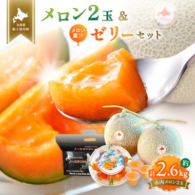 【先行受付】【数量限定】 赤肉メロン2玉・ミニメロンゼリーセット【1201704】
