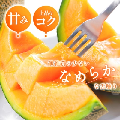 【数量限定】 赤肉メロン2玉・ミニメロンゼリーセット【1201706】