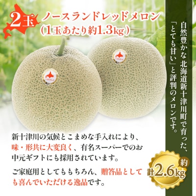 【数量限定】 赤肉メロン2玉・ミニメロンゼリーセット【1201706】