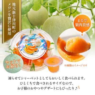 【先行受付】【数量限定】 赤肉メロン2玉・ミニメロンゼリーセット【1201704】