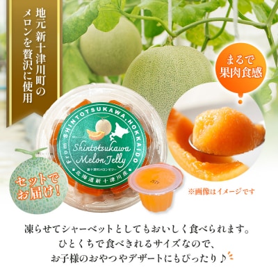 【数量限定】 赤肉メロン2玉・ミニメロンゼリーセット【1201706】
