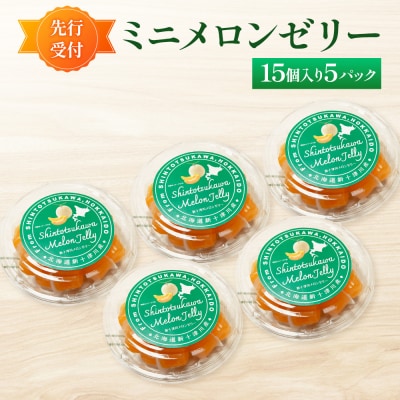 【先行受付】ミニメロンゼリー5パック【令和8年8月～11月発送】【1201002】