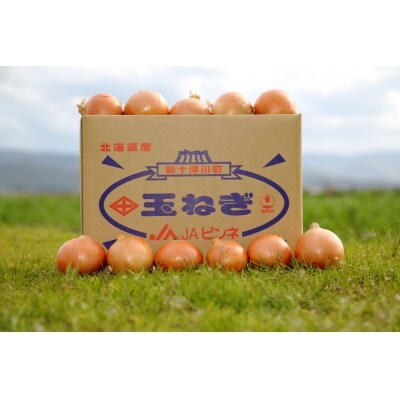玉ねぎ(20kg)　※10月～2月にお届け