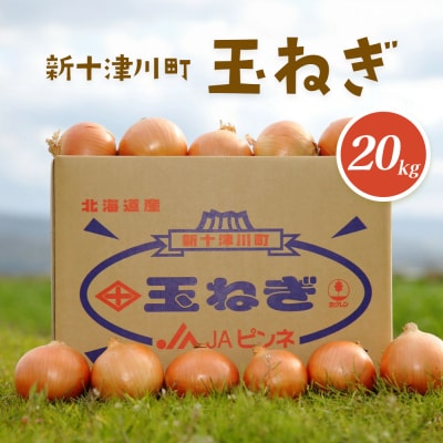 【先行受付】玉ねぎ Lサイズ(20kg)【令和7年10月～12月中旬発送】【1200201】