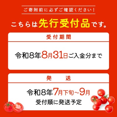 【先行受付】 ミニトマト 3kg【令和8年7月下旬～9月発送】【1200602】