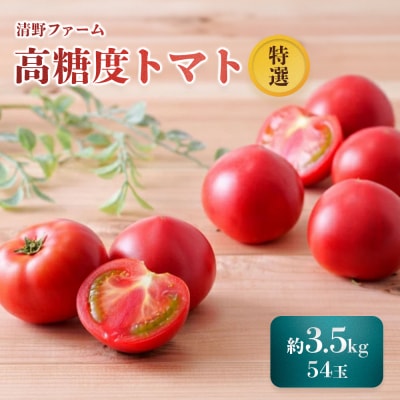 《先行受付》【特選】 清野ファームの高糖度トマト 54玉(約3.5kg)【1800202】