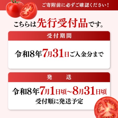 《先行受付》【特選】 清野ファームの高糖度トマト 54玉(約3.5kg)【1800202】