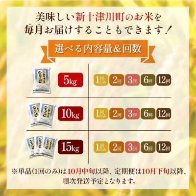 【令和8年度産】ななつぼし精米 食味ランキング「特A」(10kg)【1100408】