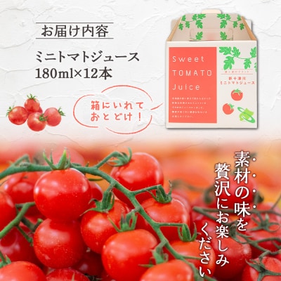 ミニトマトジュースセット(180ml×12本)【1201102】
