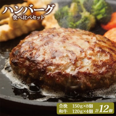 大畠精肉店のハンバーグ食べ比べセット 計12個【1301502】
