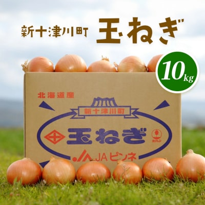 【先行受付】玉ねぎ Lサイズ(10kg)【令和8年10月～12月中旬発送】【1200102】