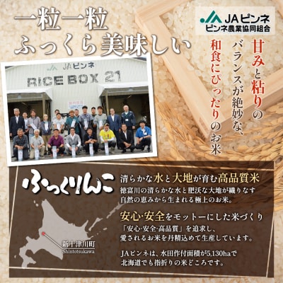 【令和8年度産】ふっくりんこ精米 (10kg)【1101606】