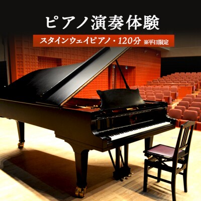 スタインウェイピアノ試弾券(120分)　※平日限定(午前9時～午後9時)【2100101】