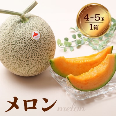 【先行受付】 赤肉メロン1箱(4～5玉) 【令和8年7月～8月上旬発送】【1201802】