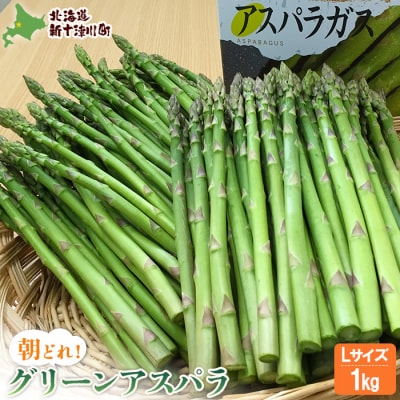 【先行受付】グリーンアスパラ(Lサイズ1kg)【1201503】