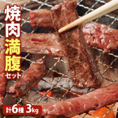 大畠精肉店の焼肉満腹セット(計6種3kg)【1301102】