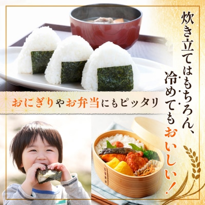 令和8年度産 食味ランキング「特A」ななつぼし精米定期便 (10kg×12回)【1100906】