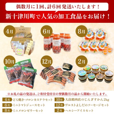 【定期便:全6回】加工品の定期便2【1202901】