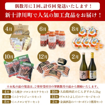 【定期便:全6回】加工品の定期便1【1202801】