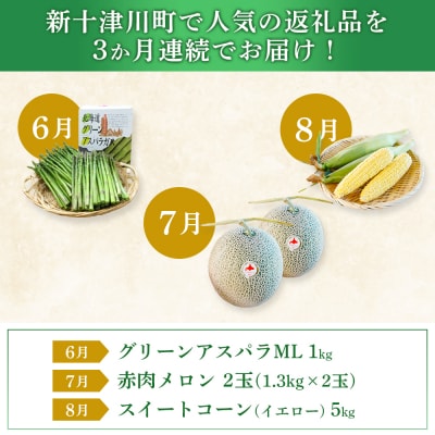 【新十津川町】夏の味覚定期便セット【1203002】