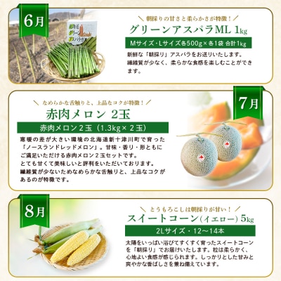 【新十津川町】夏の味覚定期便セット【1203002】
