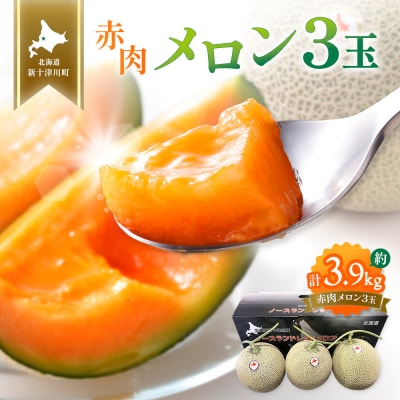 【先行受付】【数量限定】 赤肉メロン3玉【令和8年7月～8月上旬発送】【1203201】