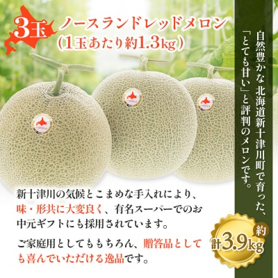 【先行受付】【数量限定】 赤肉メロン3玉【令和8年7月～8月上旬発送】【12032】