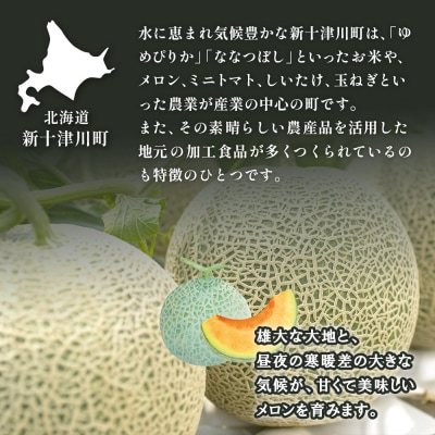 【先行受付】【数量限定】 赤肉メロン3玉【令和8年7月～8月上旬発送】【1203201】