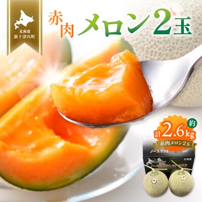 【先行受付】【数量限定】 赤肉メロン2玉【令和8年7月～8月上旬発送】【12031】