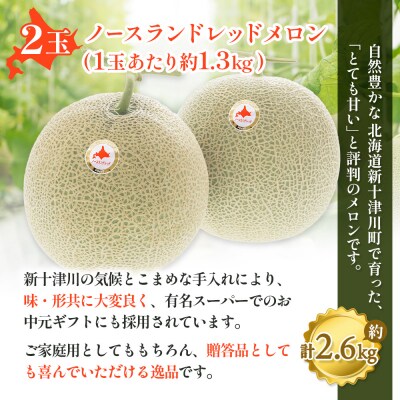 【先行受付】【数量限定】 赤肉メロン2玉【令和8年7月～8月上旬発送】【12031】