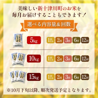 【令和8年度産】 食味ランキング「特A」ななつぼし精米定期便 (5kg×6回)【11022】